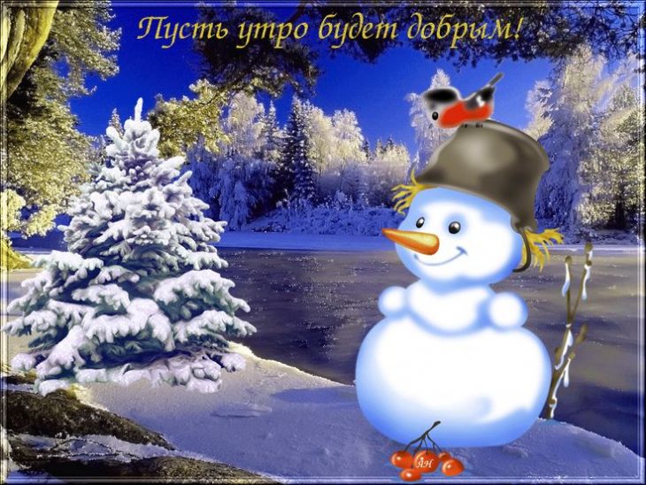 Открытки